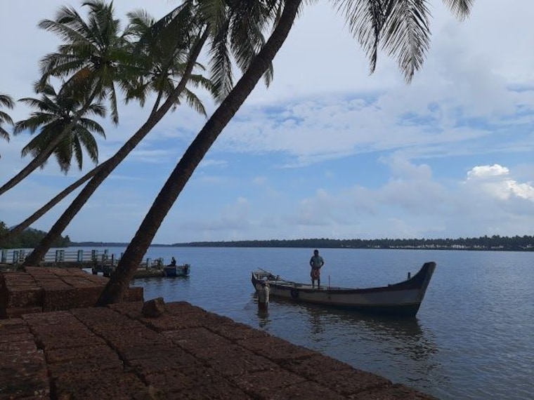 Valiyaparamba Backwaters-2